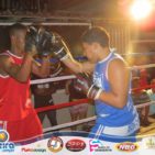 Aulão com treino de Boxe - Vida Ativa