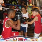 Aulão com treino de Boxe - Vida Ativa